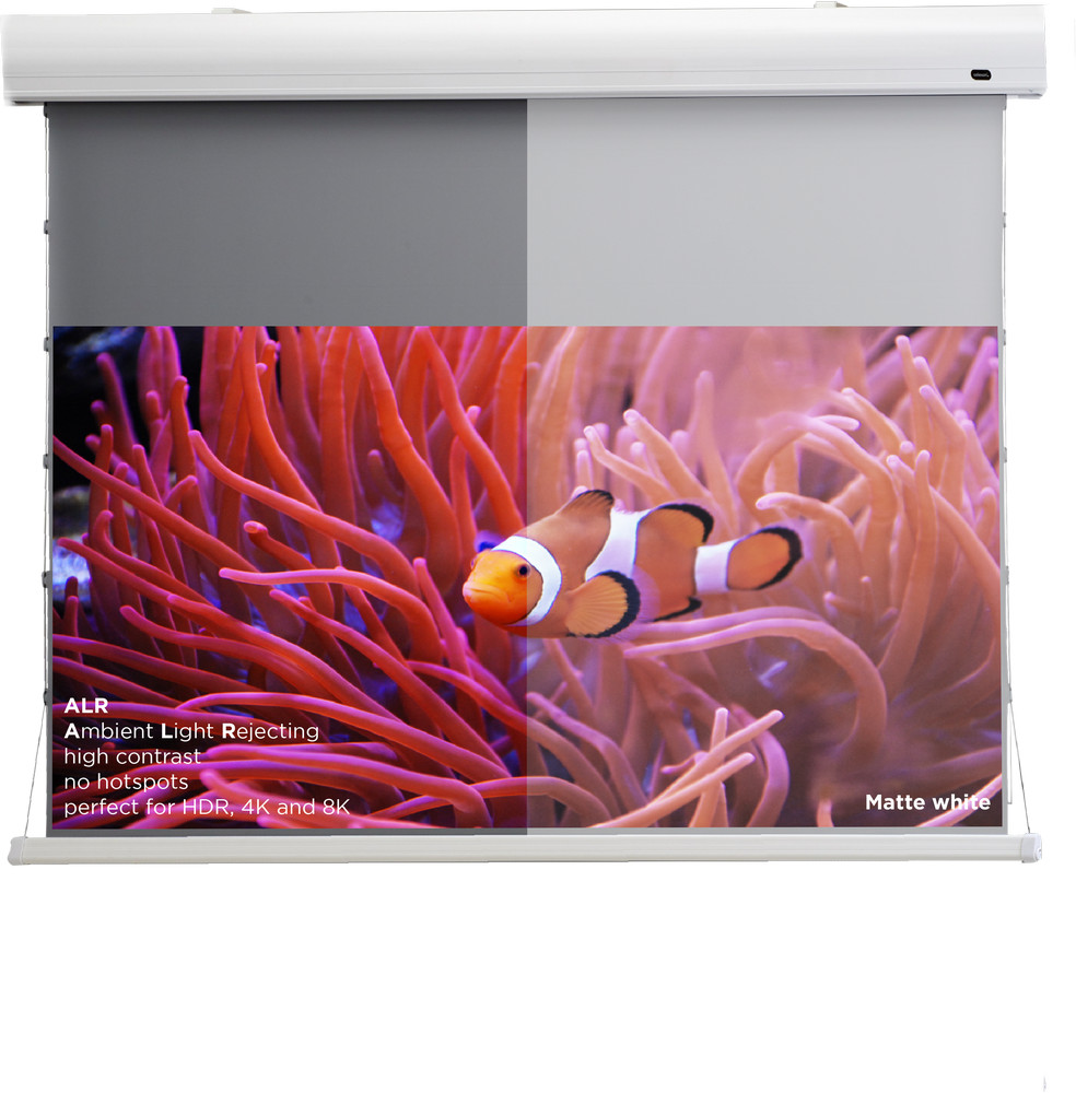 celexon HomeCinema Hochkontrastleinwand Tension 177 x 99 cm, 80" - Dynamic Slate ALR
