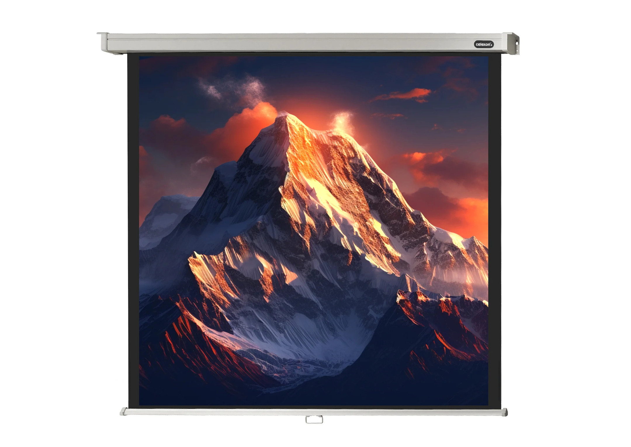celexon Leinwand Rollo Professional 280 x 280 cm