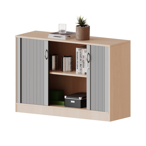 Schrank mit Rollo, 2 Ordnerhöhen - Serie evo180 B/H/T: 100x82x60 cm, Querrollladen, abschließbar, mit Sockel (81 mm)