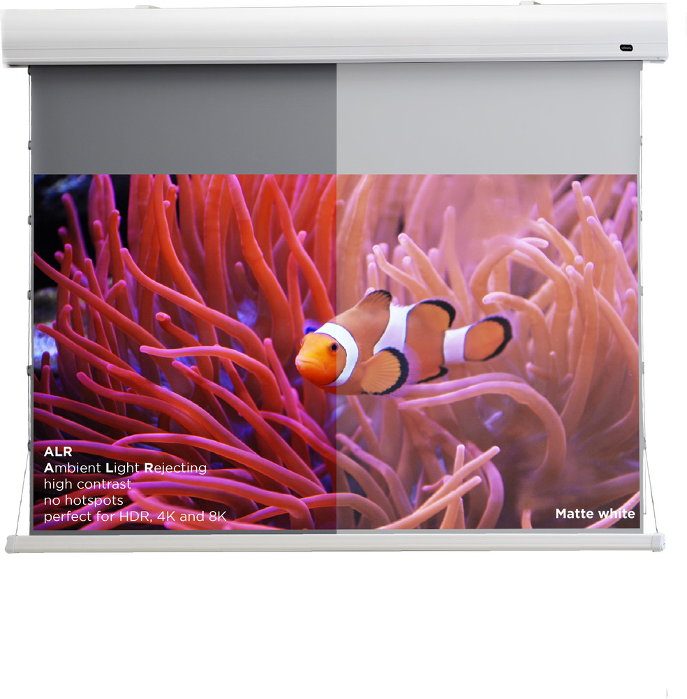 celexon HomeCinema Hochkontrastleinwand Tension 199 x 112 cm, 90" - Dynamic Slate ALR