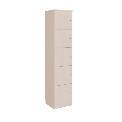 Schließfachschrank mit 5 Fächern B/H/T: 41x190x42 cm, Türen links hängend, verschieden schließend