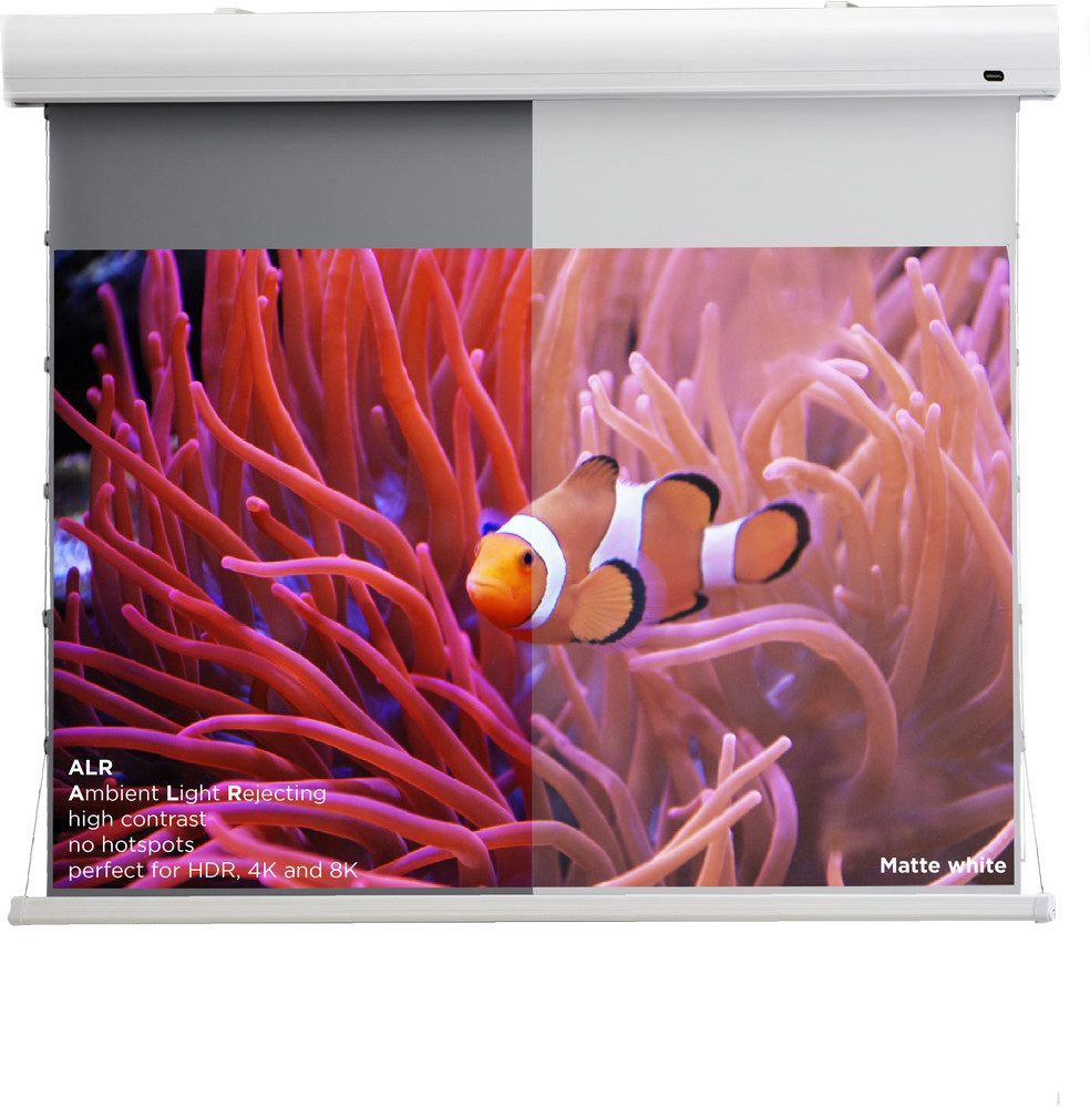 celexon HomeCinema Hochkontrastleinwand Tension 221 x 124 cm 100" - Dynamic Slate ALR