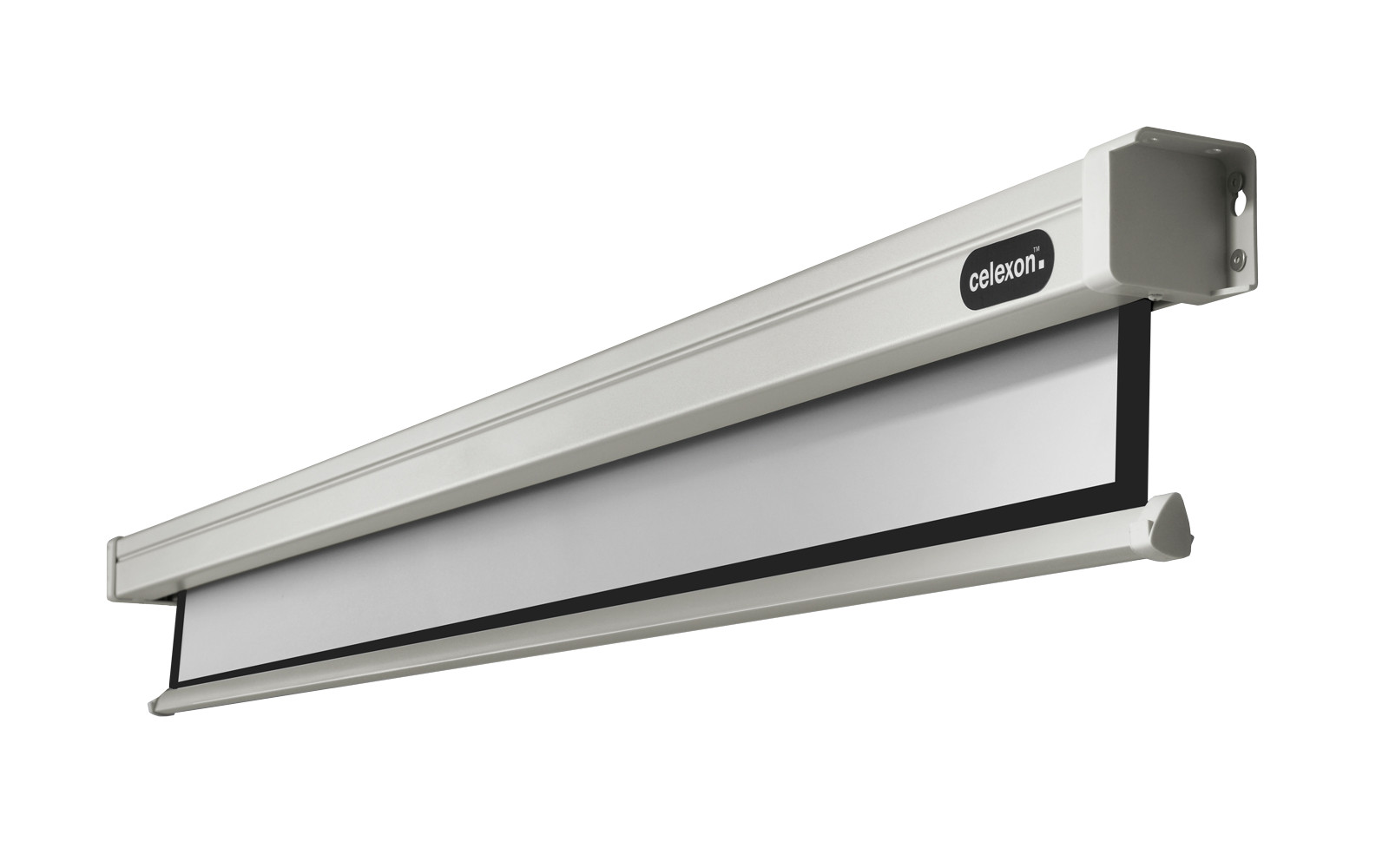 celexon Leinwand Motor Professional 220 x 124 cm