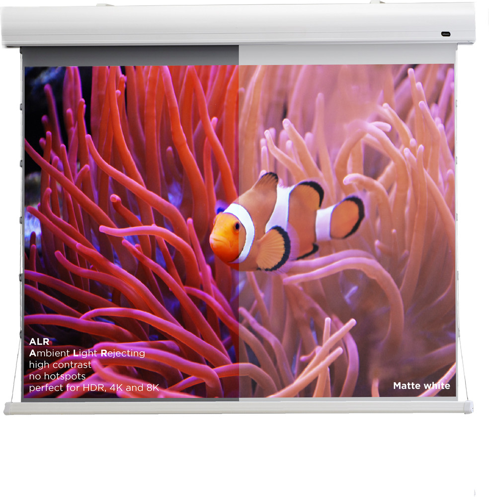 celexon HomeCinema Hochkontrastleinwand Tension 265 x 149 cm 120" - Dynamic Slate ALR