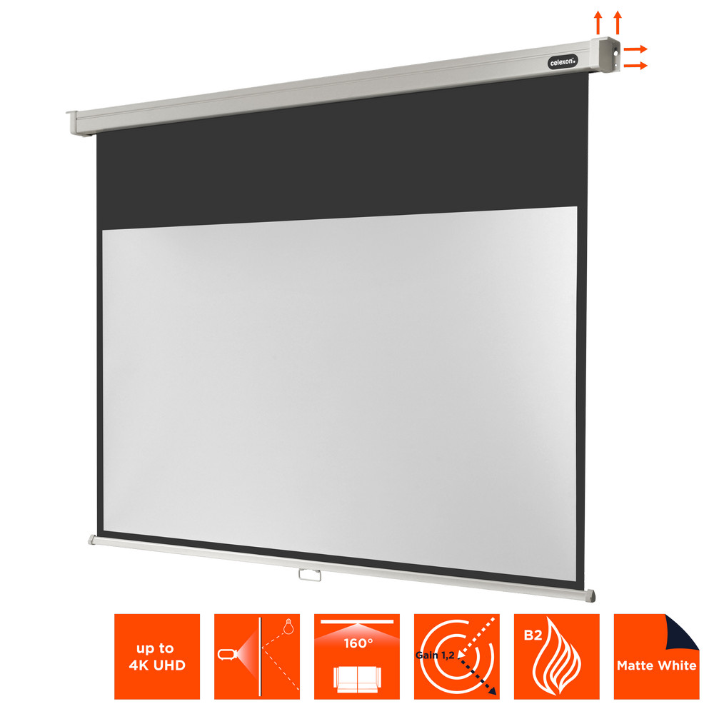 celexon Leinwand Rollo Professional 300 x 169 cm