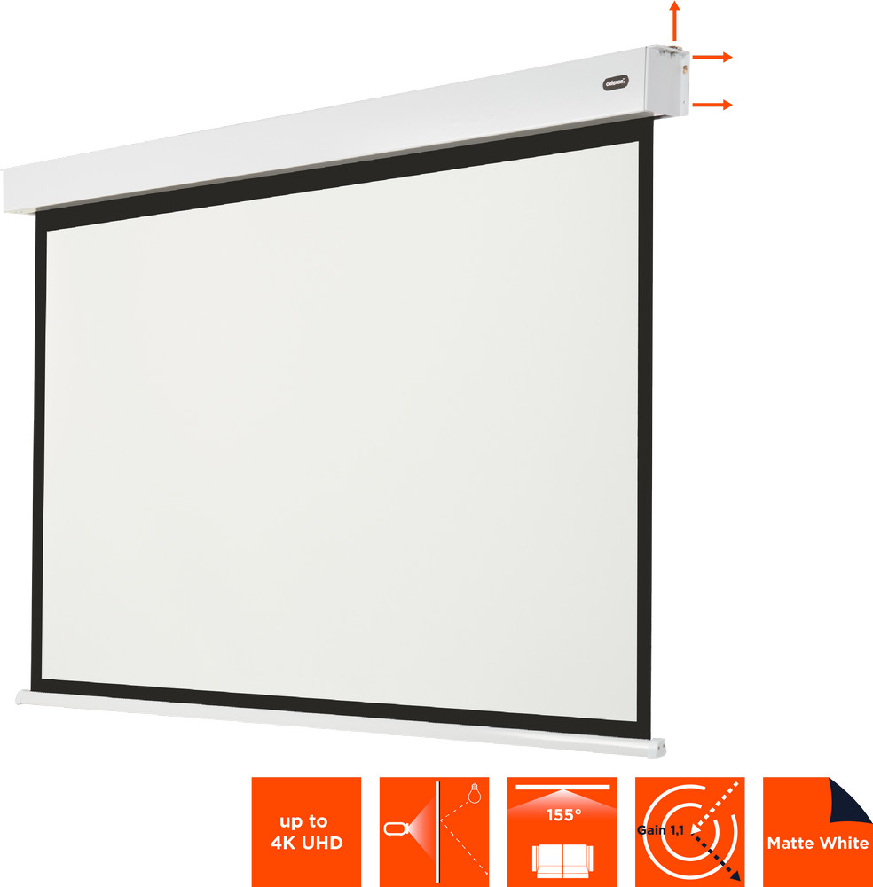 celexon Batterie Leinwand V2.0 Motor Professional Plus 300 x 225 cm