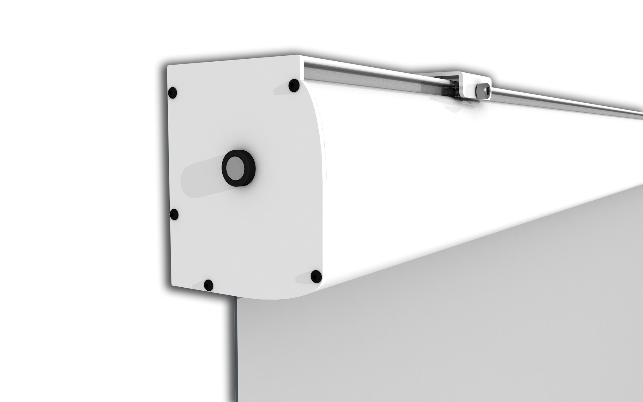 celexon Leinwand Motor Expert 300 x 187 cm