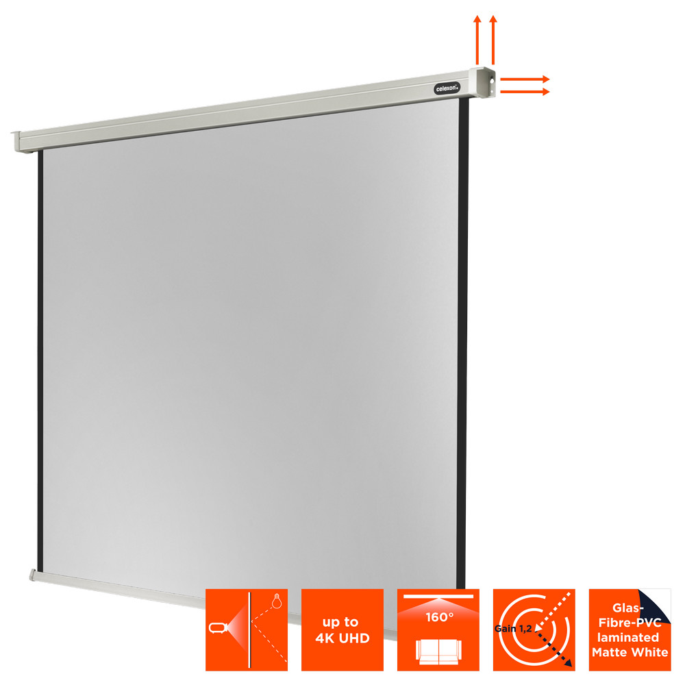 celexon Leinwand Motor Professional 300 x 300 cm