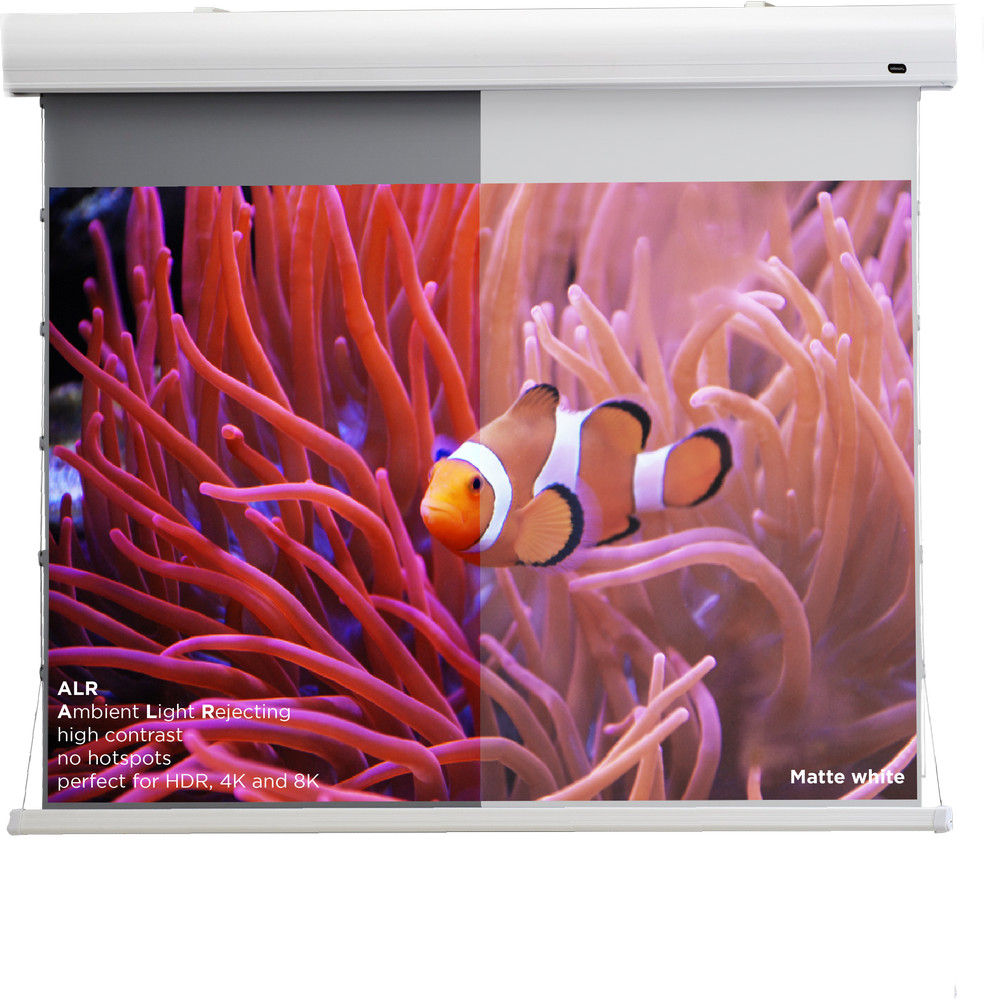 celexon HomeCinema Hochkontrastleinwand Tension 243 x 136 cm 110" - Dynamic Slate ALR