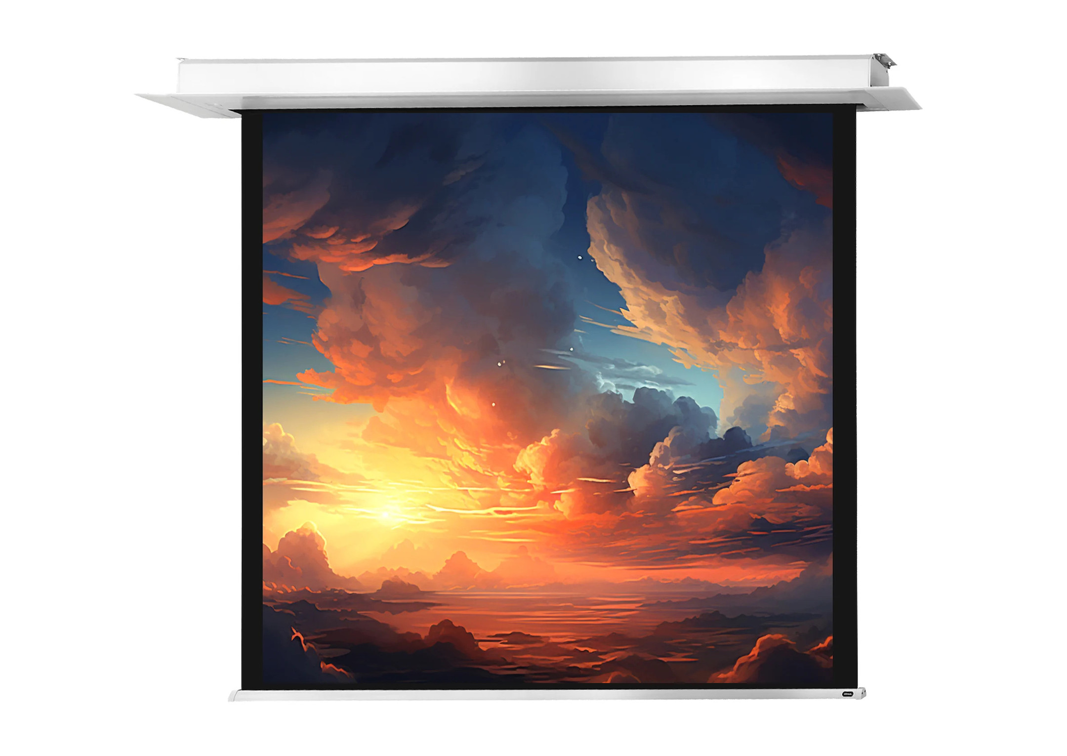 celexon Deckeneinbauleinwand Motor Professional Plus 220 x 220 cm