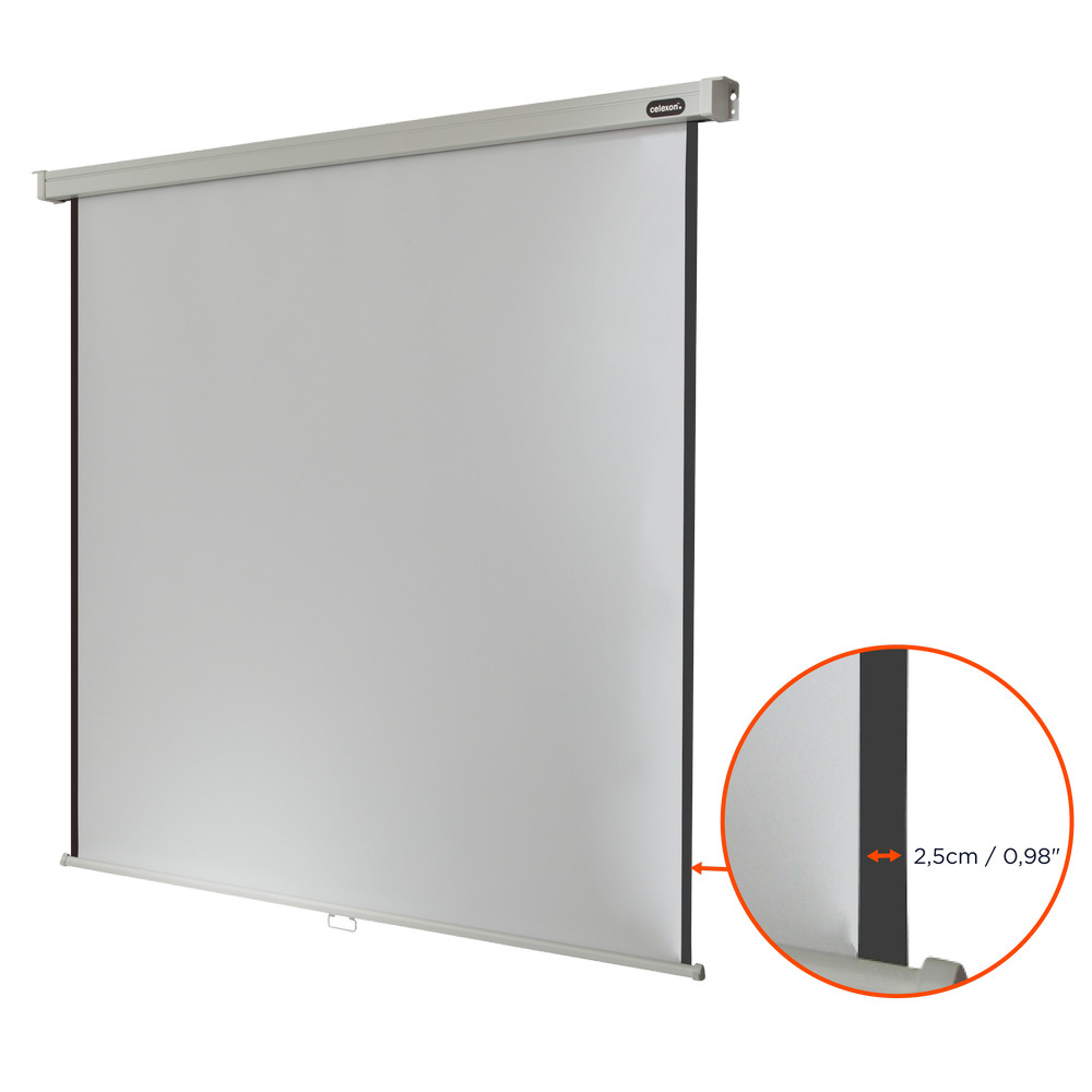 celexon Leinwand Rollo Professional 180 x 180 cm