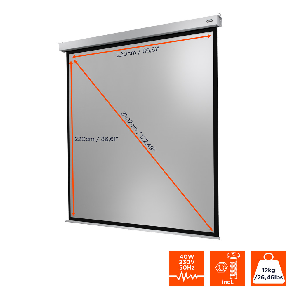 celexon Leinwand Motor Professional Plus 220 x 220 cm