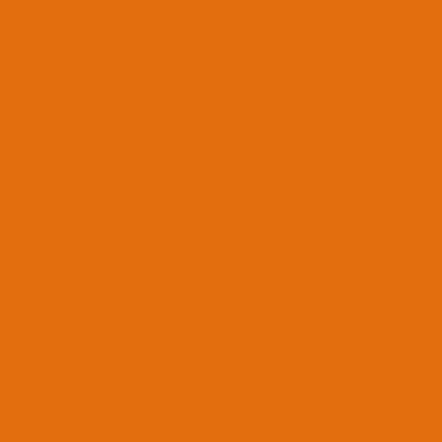 SRAL2004 Reinorange
