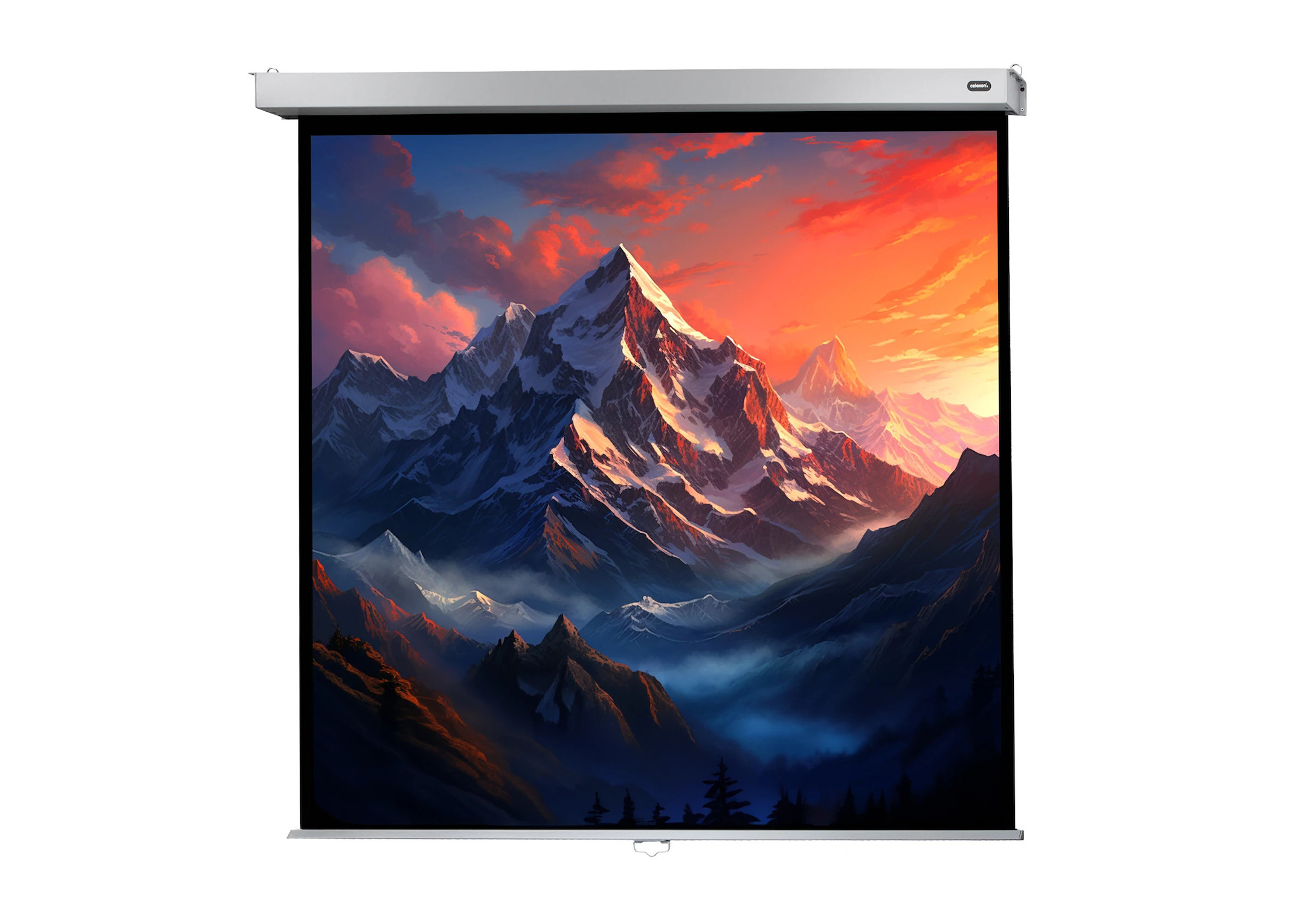 celexon Leinwand Rollo Professional Plus 220 x 220 cm