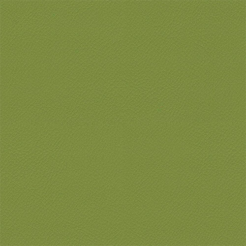 Avocado ITA06