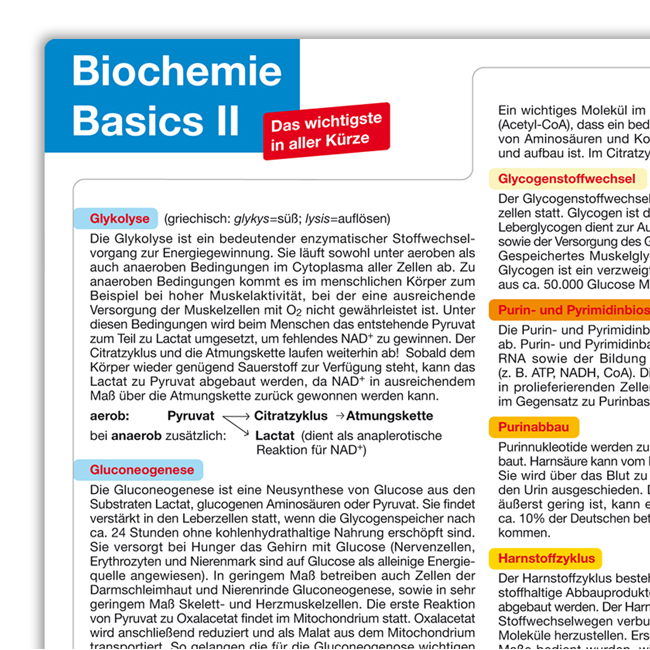 Biochemie Basics II – Das Lernposter DIN A2