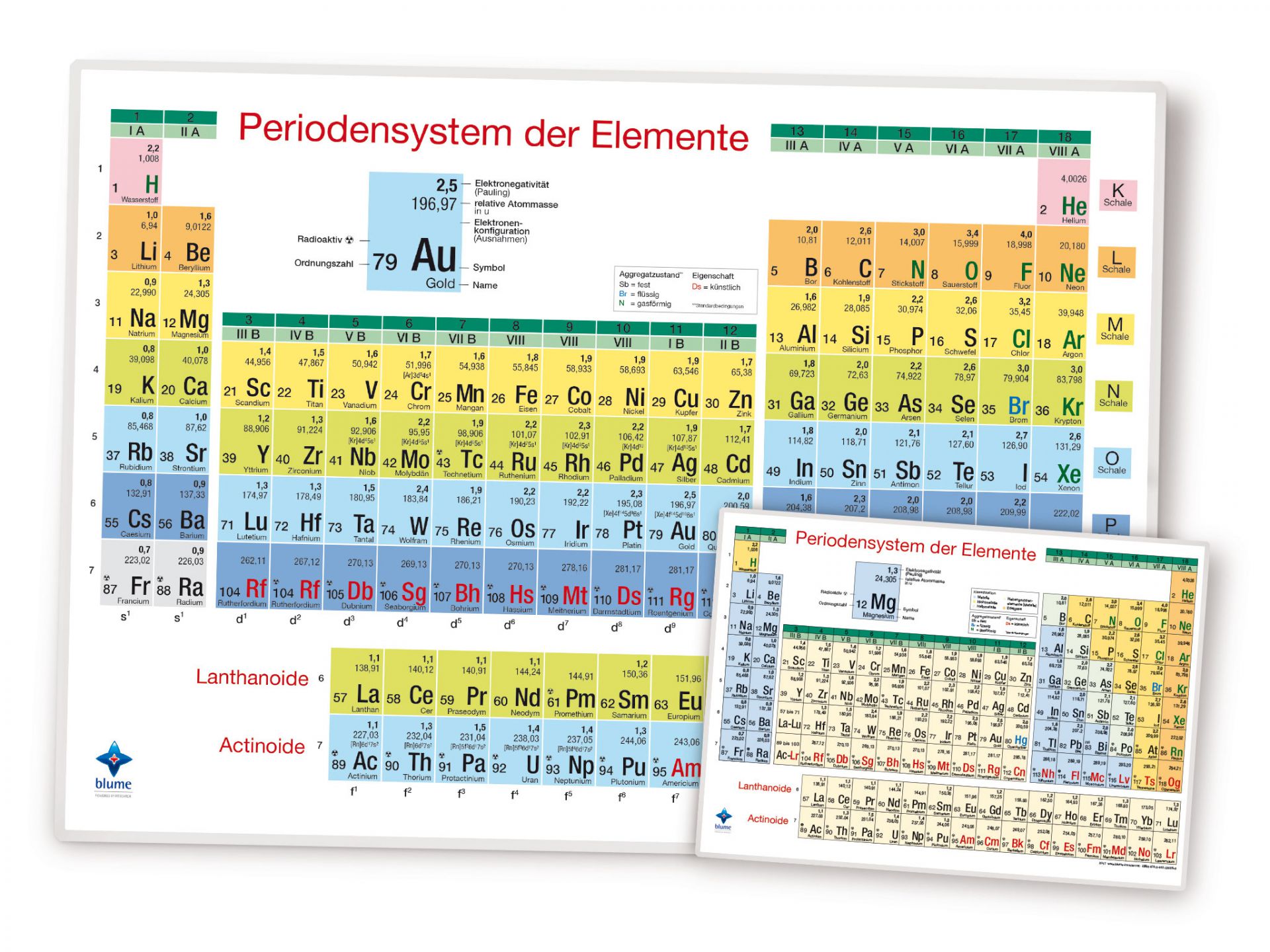 Blume Periodensystem Der Elemente DINA4 Für Schüler